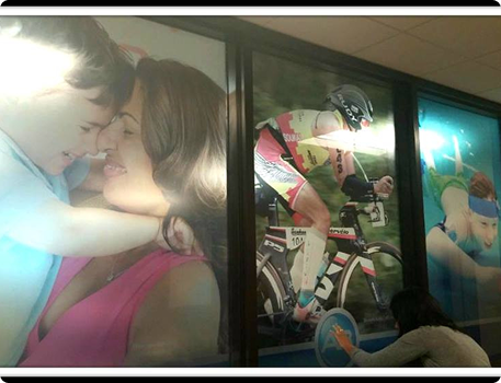 Window Graphics